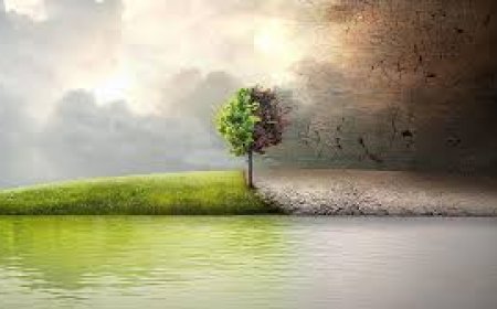 क्षणभराचे आयुष्य